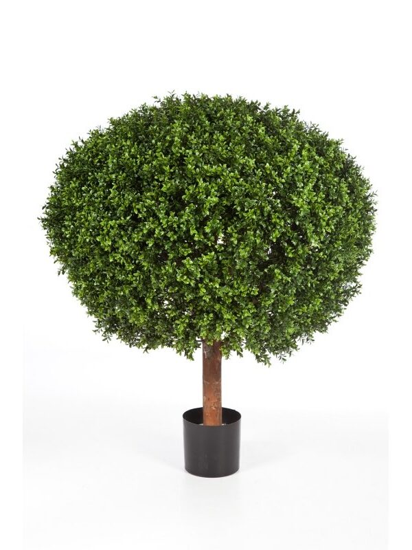 BOXWOOD BALL - 120CM