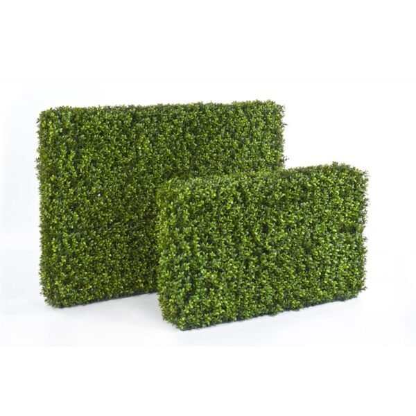 BOXWOOD HEDGE 90X120 CM - 85CM