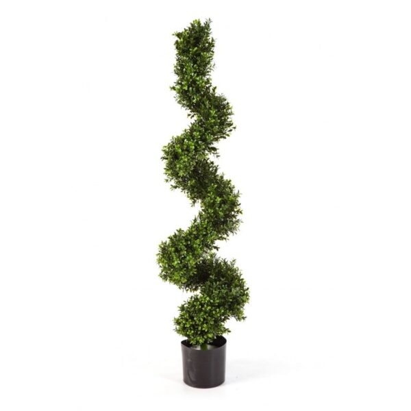 BOXWOOD SPIRAL TREE 135 CM - 135CM