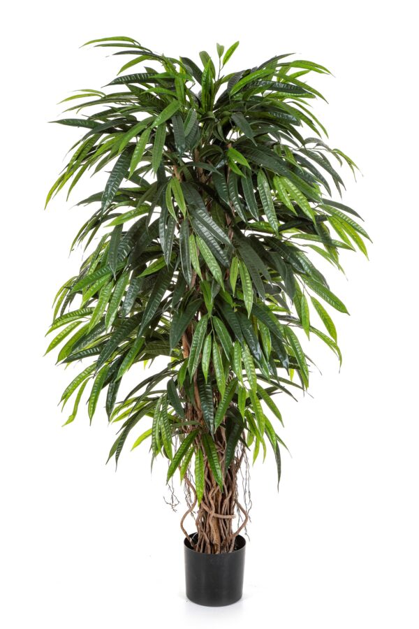 LONGIFOLIA LIANA DELUXE  - 210CM
