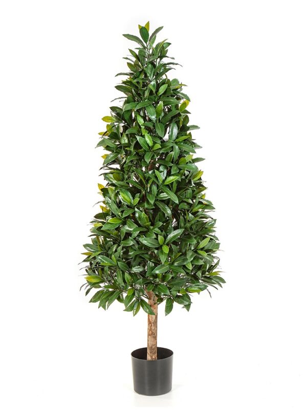 LAUREL TREE - 140CM UV RESISTENTE