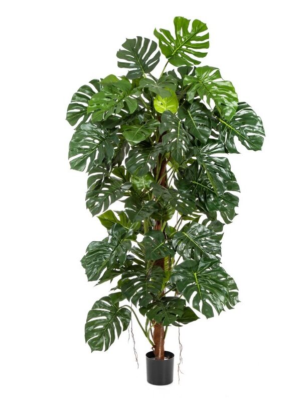 SPLIT PHILO ON POLE - 160CM