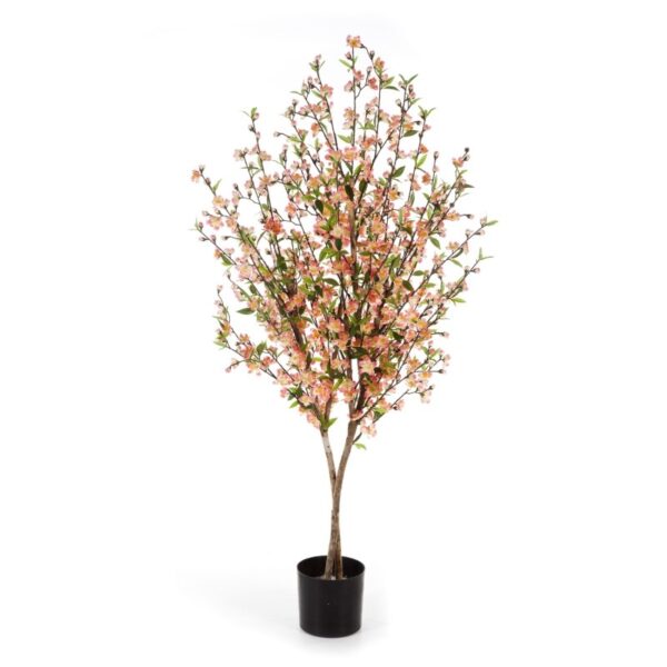 CHERRY BLOSSOM ROSE - 140CM