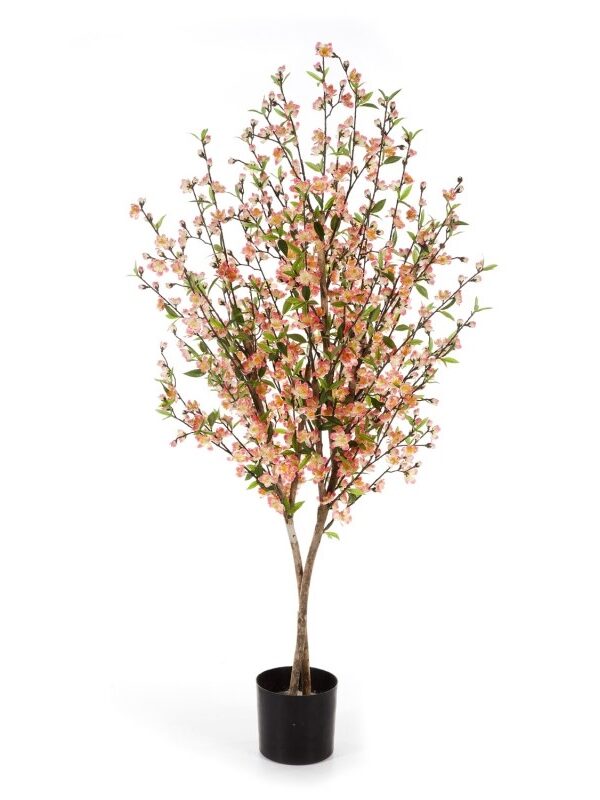CHERRY BLOSSOM ROSE - 140CM