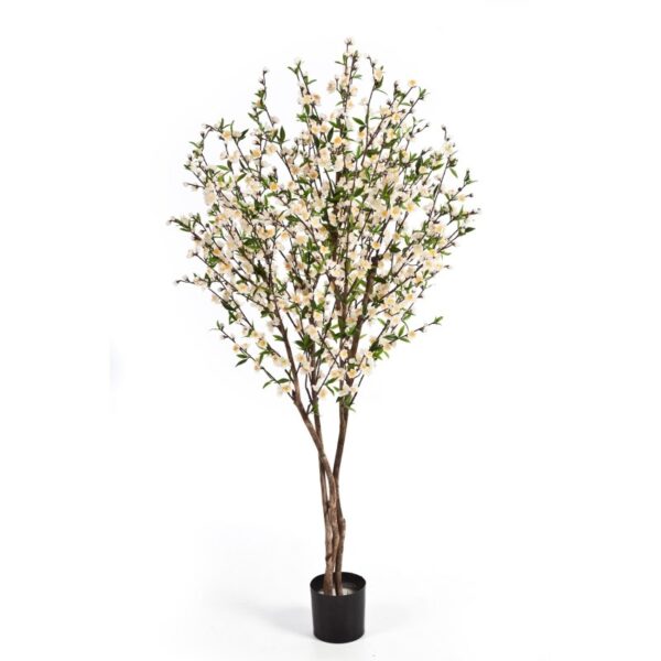 CHERRY BLOSSOM CREMA - 170CM