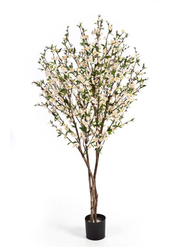 CHERRY BLOSSOM CREMA - 140CM