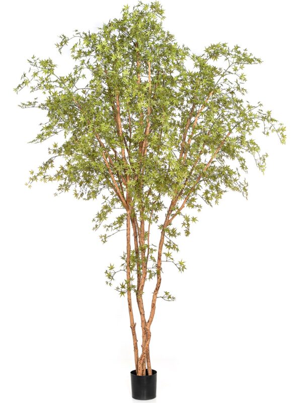 ACERO JAPANESE  BUTTERFL - 330CM
