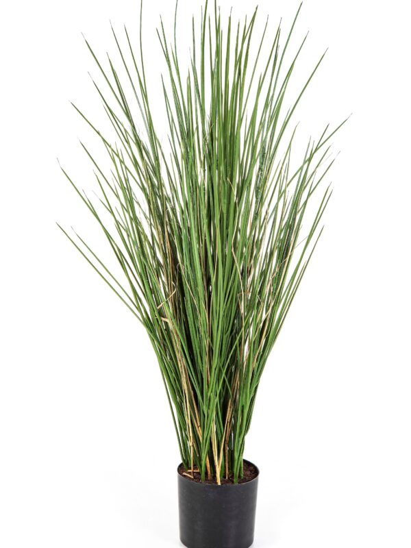 HONEY GRASS 80 CM W/ FIRE RESISTANT