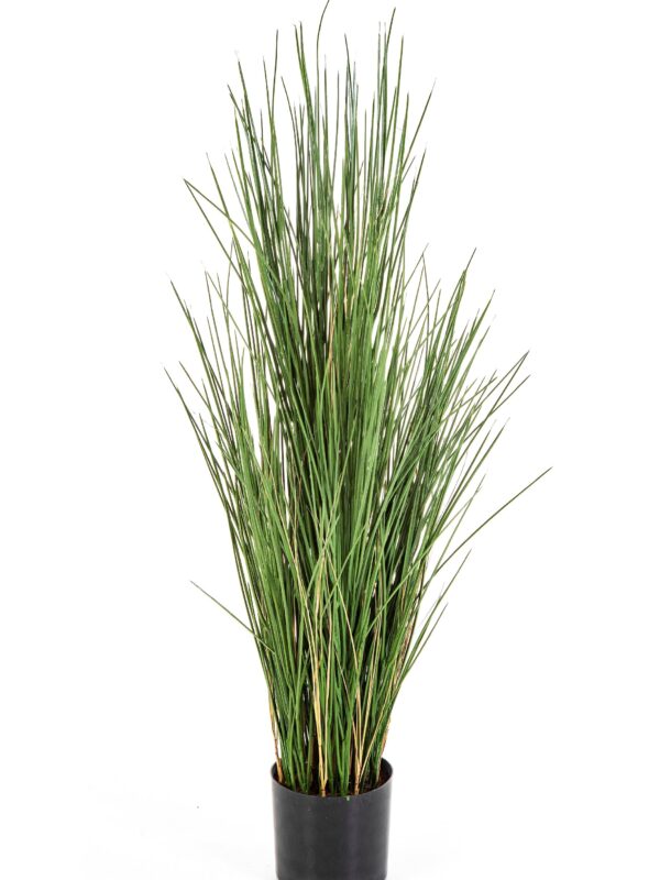 HONEY GRASS 120 CM W FIRE RESISTANT