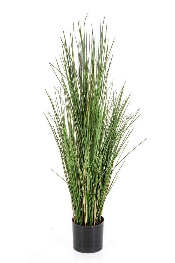 HONEY GRASS 120 CM W FIRE RESISTANT