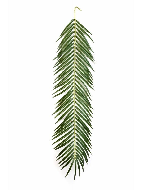 PHOENIX PALM SPRAY 88 CM - 88CM