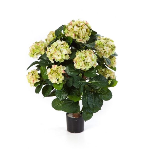 HYDRANGEA BALL DE LUXE CON VASO - 62CM