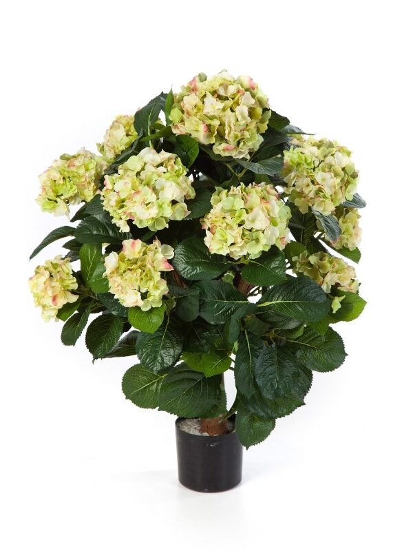 HYDRANGEA BALL DE LUXE CON VASO - 62CM