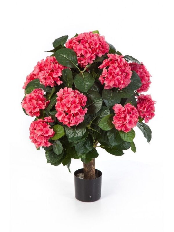 HYDRANGEA BALL DE LUXE CON VASO - 62CM